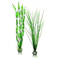 Algopix Similar Product 17 - biOrb Large Green Plant Set Colorful