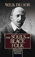 Algopix Similar Product 12 - The Souls of Black Folk