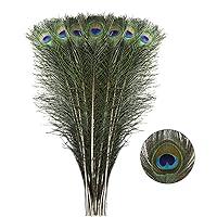 Algopix Similar Product 13 - Larryhot Natural Long Peacock Feathers