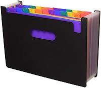 Algopix Similar Product 2 - 24 Pockets Expanding Files Folder A4