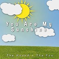 Algopix Similar Product 17 - You Are My Sunshine