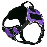 Algopix Similar Product 17 - NoPull Dog Harness Reflective