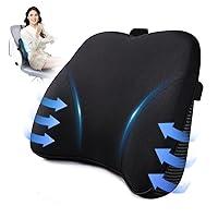 Algopix Similar Product 4 - Dreamer Car Lumbar Support Pillow for