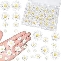 Algopix Similar Product 3 - HADDIY Resin Daisy Flowers for Craft50