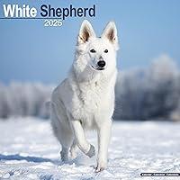 Algopix Similar Product 7 - White Shepherd Calendar 2025  Square