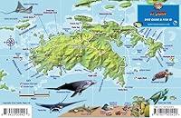 Algopix Similar Product 10 - St John USVI Dive Map Fish ID Virgin