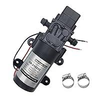 Algopix Similar Product 1 - 12V DC Water Transfer Pump Diaphragm