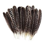 Algopix Similar Product 3 - 20pcs Wild Turkey Feathers Decoration 