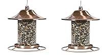 Algopix Similar Product 19 - PerkyPet Copper Panorama Bird Feeder