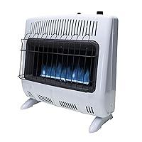 Algopix Similar Product 5 - Mr Heater F299730 30000 BTU Blue