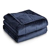 Algopix Similar Product 11 - Topblan Velvet Weighted Blanket