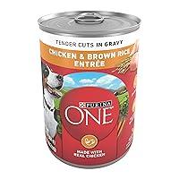 Algopix Similar Product 5 - Purina ONE Tender Cuts in Wet Dog Food
