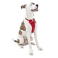 Algopix Similar Product 5 - Kurgo TruFit Enhanced Strength Dog