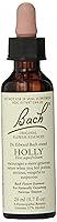 Algopix Similar Product 6 - Nelson Bach Flower Holly, 0.04 lb