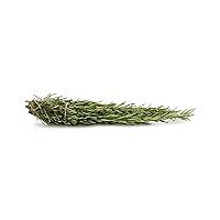Algopix Similar Product 9 - MEYER FARMS Organic Rosemary, 0.75 OZ