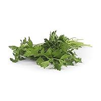 Algopix Similar Product 4 - Organic Italian Parsley, 1 Bunch