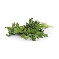 Algopix Similar Product 3 - Herb Italian Parsley Organic, 1 Bunch