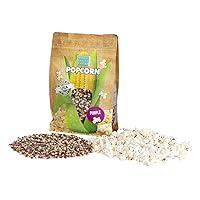 Algopix Similar Product 14 - Wabash Valley Farms Popcorn Kernels 