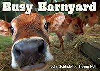 Algopix Similar Product 9 - Busy Barnyard (A Busy Book)