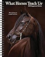 Algopix Similar Product 5 - Willow Creek Press What Horses Teach Us