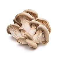 Algopix Similar Product 16 - PRODUCE Organic Oyster Mushrooms, 3.5 OZ