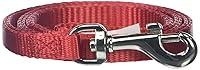 Algopix Similar Product 13 - Aspen Pet Nylon leash Red 38Wide 