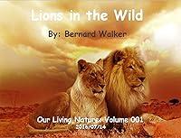 Algopix Similar Product 15 - Lions in the Wild Our Living Nature