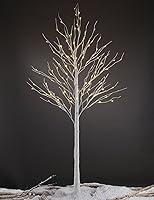 Algopix Similar Product 5 - LIGHTSHARE 8FT 132 LED Birch