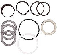 Algopix Similar Product 17 - CASE D42869 Hydraulic Cylinder Seal KIT