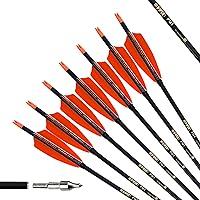 Algopix Similar Product 10 - PG1ARCHERY 30 Inch Carbon Arrows