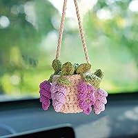 Algopix Similar Product 17 - Cute Car Plant Accessories Cute Plant