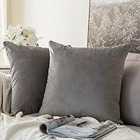 Algopix Similar Product 10 - MIULEE Pack of 2 Velvet Soft Solid