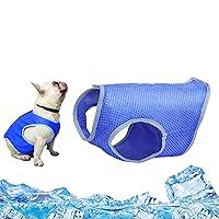 Algopix Similar Product 17 - Kurgo Carrier KeeperTm Pet Crate