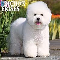 Algopix Similar Product 8 - Just Bichons Frises 2021 Wall Calendar