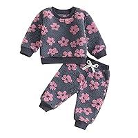 Algopix Similar Product 20 - Hoanselay Toddler Baby Girl Outfits