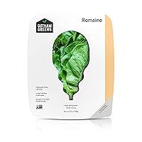 Algopix Similar Product 14 - Gotham Greens Romaine Lettuce Salad