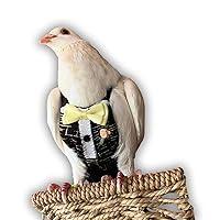 Algopix Similar Product 2 - Bevs Birds Boutique Flyper Adjustable
