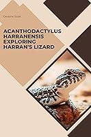 Algopix Similar Product 12 - Acanthodactylus harranensis Exploring