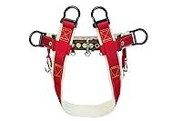 Algopix Similar Product 9 - Weaver Leather WLC 100 Saddle without