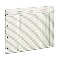 Algopix Similar Product 8 - Wilson Jones Ledger Paper Balance