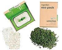 Algopix Similar Product 14 - ingarden Microgreen Superfood Kale Seed