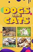 Algopix Similar Product 7 - Cats and Dogs United A Photo Book of