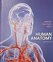 Algopix Similar Product 12 - Human Anatomy