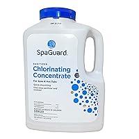 Algopix Similar Product 4 - SpaGuard Spa Chlorinating Concentrate 