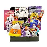 Algopix Similar Product 9 - Halloween Boo Basket for Kids