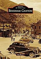 Algopix Similar Product 2 - Bingham Canyon (Images of America)