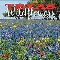 Algopix Similar Product 20 - 2025 Texas Wildflowers Wall Calendar