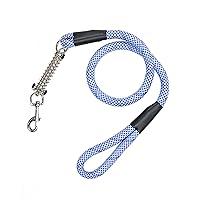 Algopix Similar Product 20 - PETIQUE Tug Control Dog Leash 