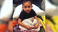Algopix Similar Product 3 - Chris Brown Bought his Daughter Royalty