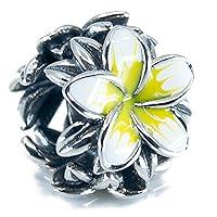 Algopix Similar Product 17 - White  Yellow Tropical Flower Plumeria